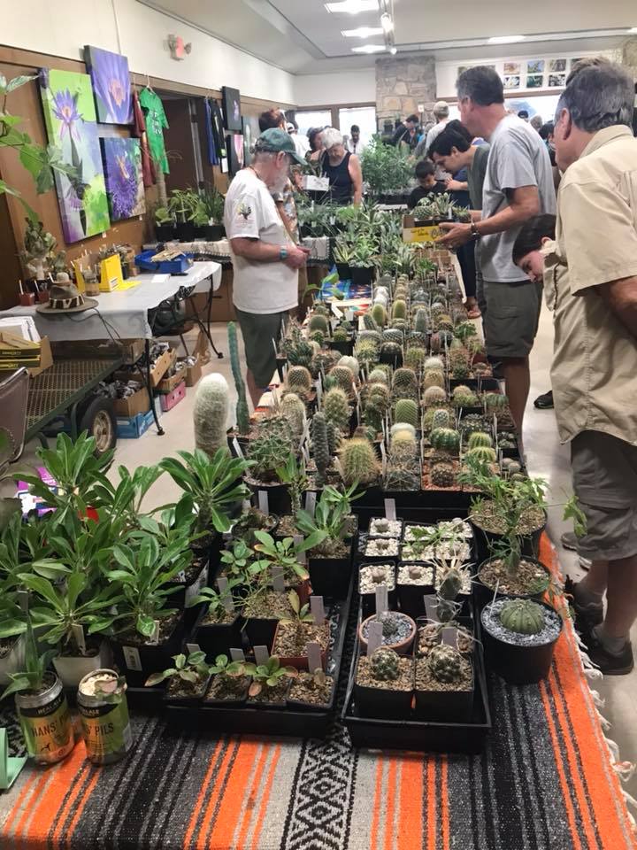 Plant Swap
